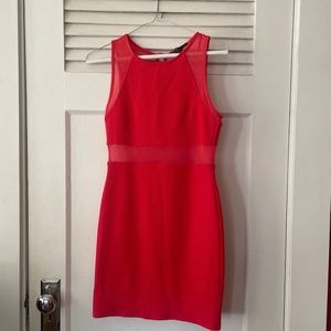 Red Mesh Bodycon